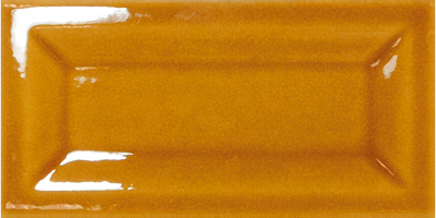 Equipe Evolution Inmetro Amber / 7,5×15cm