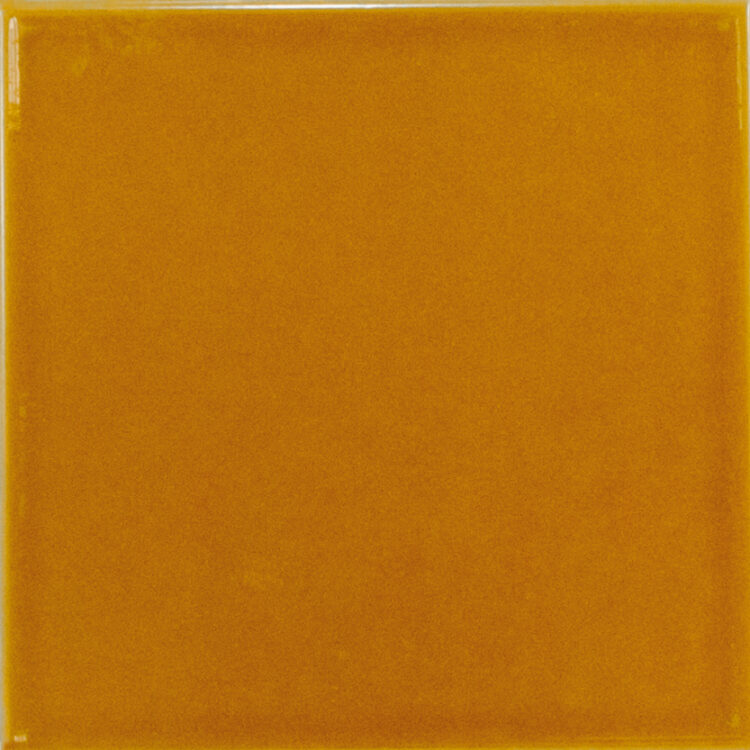 Equipe Evolution Amber / 15×15cm