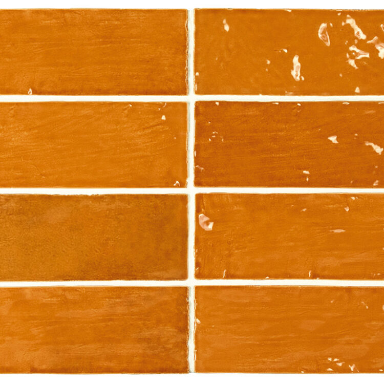 Equipe La Riviera Ginger / 6,5×20cm