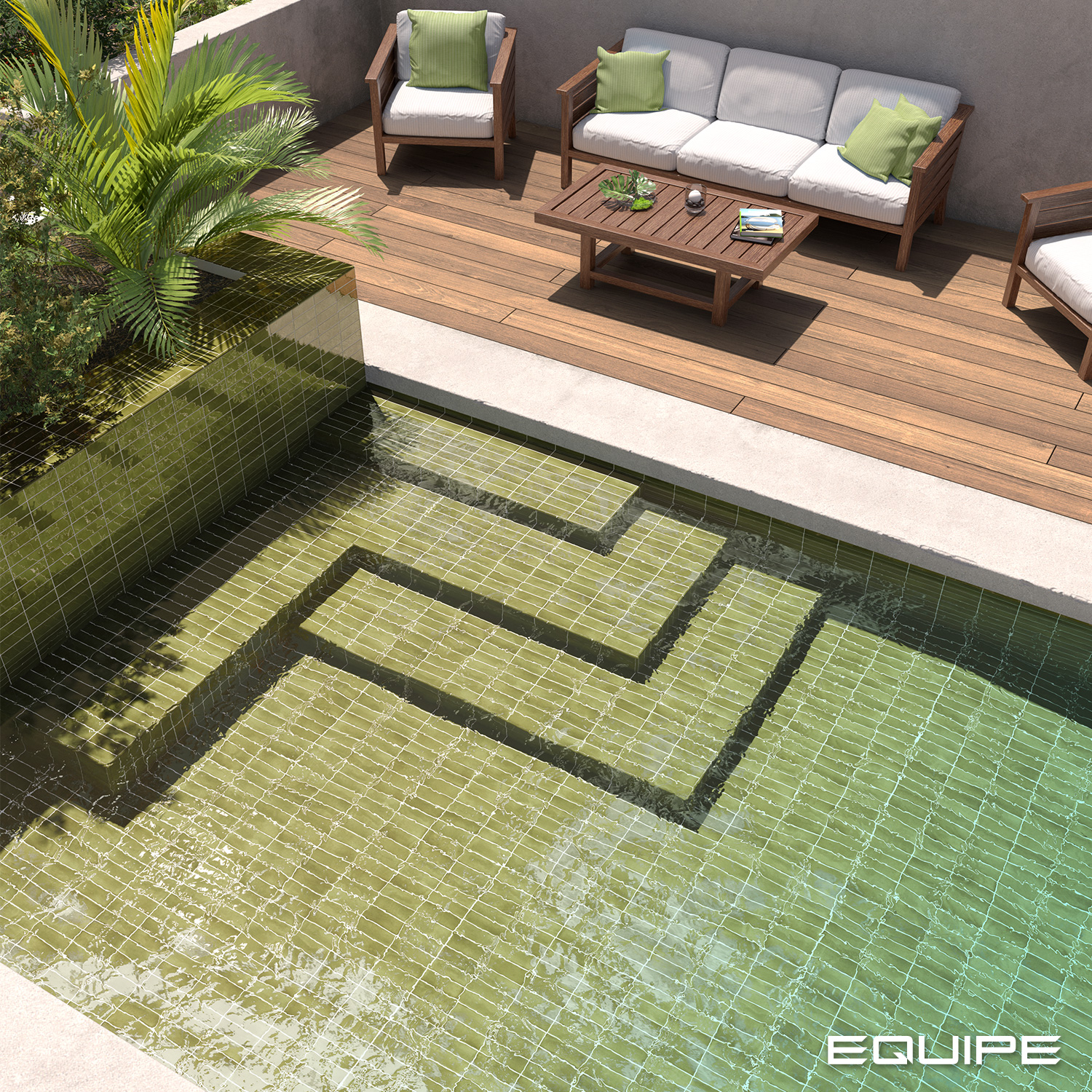 Equipe Coco Verd / 5×15cm – Bild 2