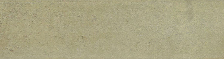 Arta Basil Matte 5x50 cm