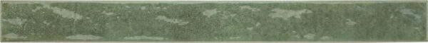 Arta Mint 5x50 cm